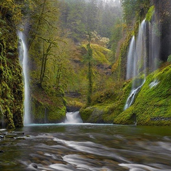 Meet your Posher, Margarita - Picture 1 of 1